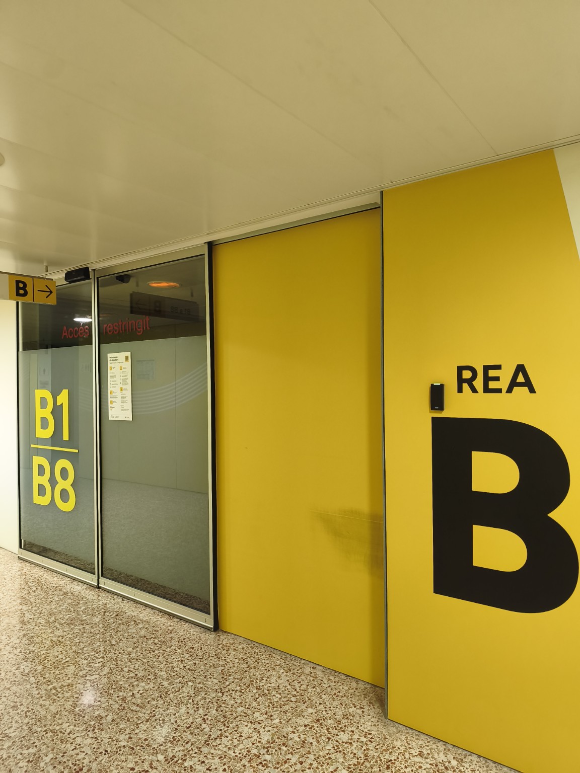 Entrada amarilla de la REA